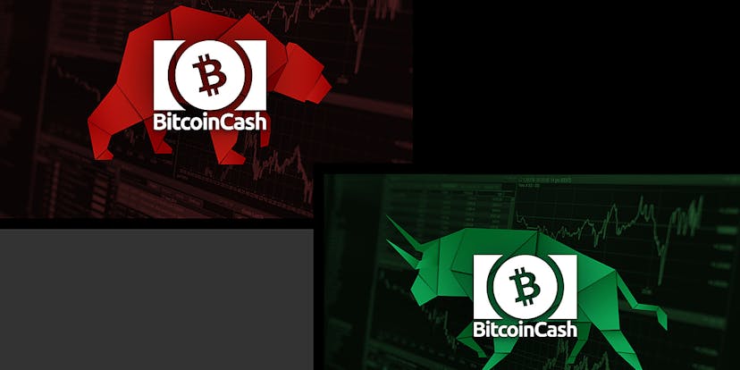 /a-data-centric-introduction-to-bitcoin-cash-h4hk34c0 feature image