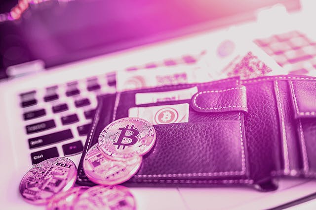 /an-overview-of-the-cryptocurrency-wallet-options-available-in-2019-69o44eh feature image