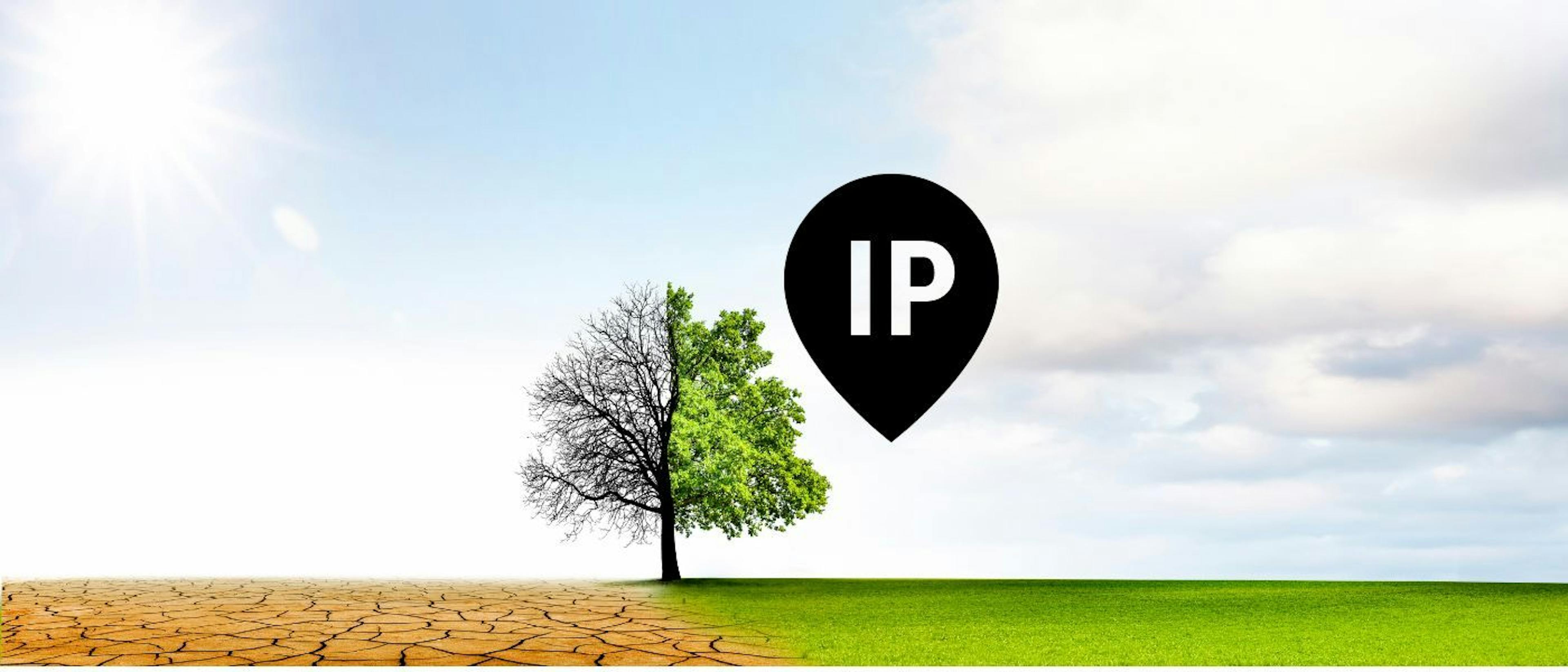 featured image - How to Change Your IP Address: A Step by Step Guide