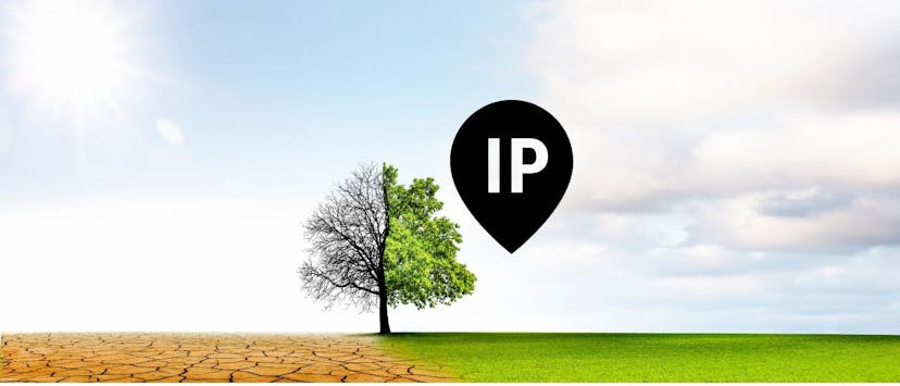 /how-to-change-your-ip-address-a-step-by-step-guide feature image