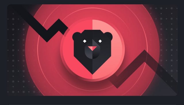 /an-investors-guide-to-crypto-bear-market-in-2022 feature image