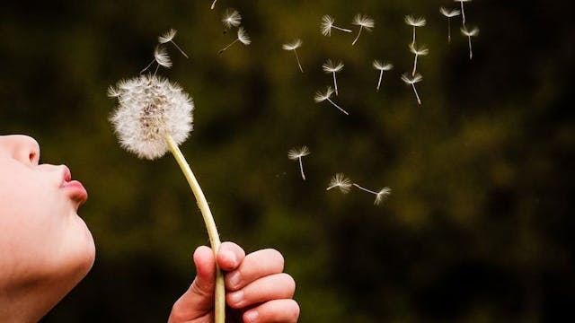 /undoing-the-knots-of-mind-one-habit-at-a-time feature image