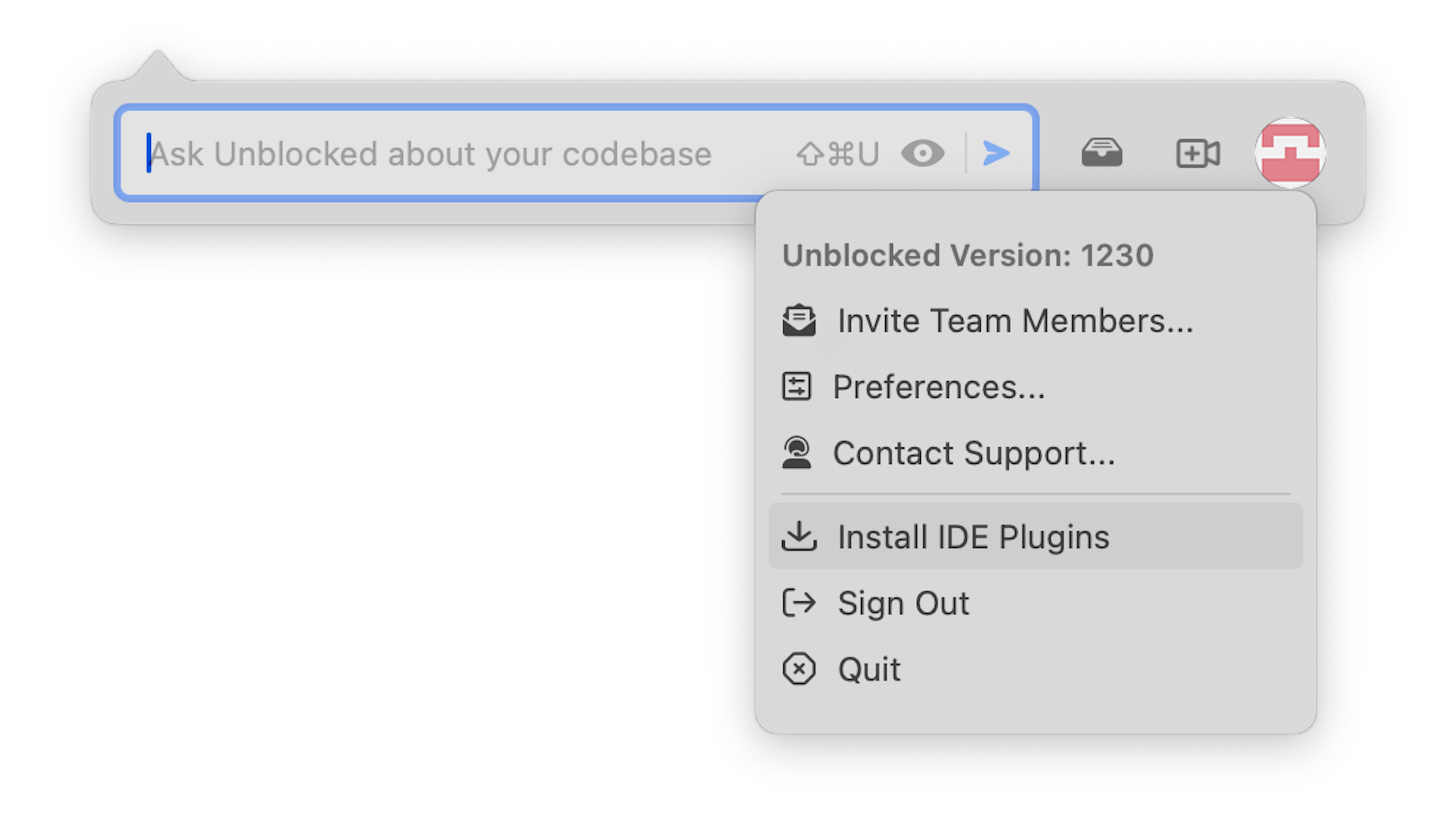 Installing IDE Plugins