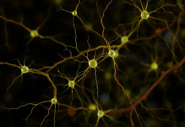 /how-ideology-shapes-memory-and-threatens-ai-alignment feature image