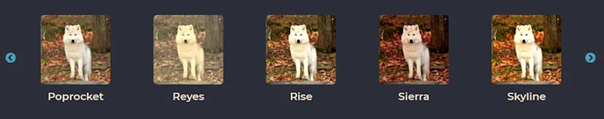 Enhance Your Photos with the CSS Contrast, Brightness, Saturation, and ...