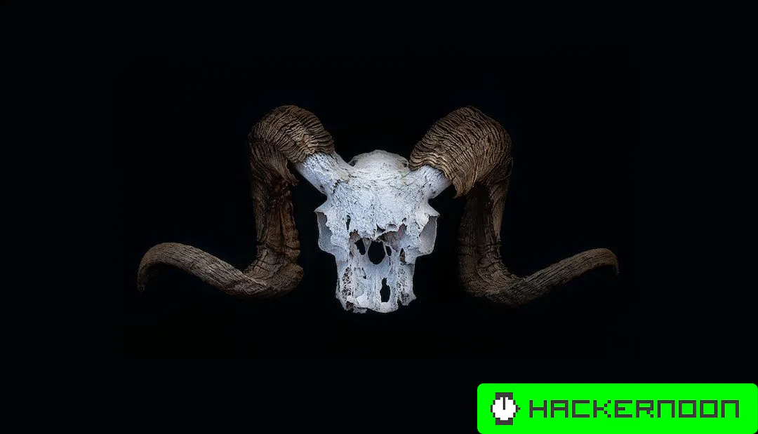 How to Create a Modern Skeleton Loader in React to Improve User ...