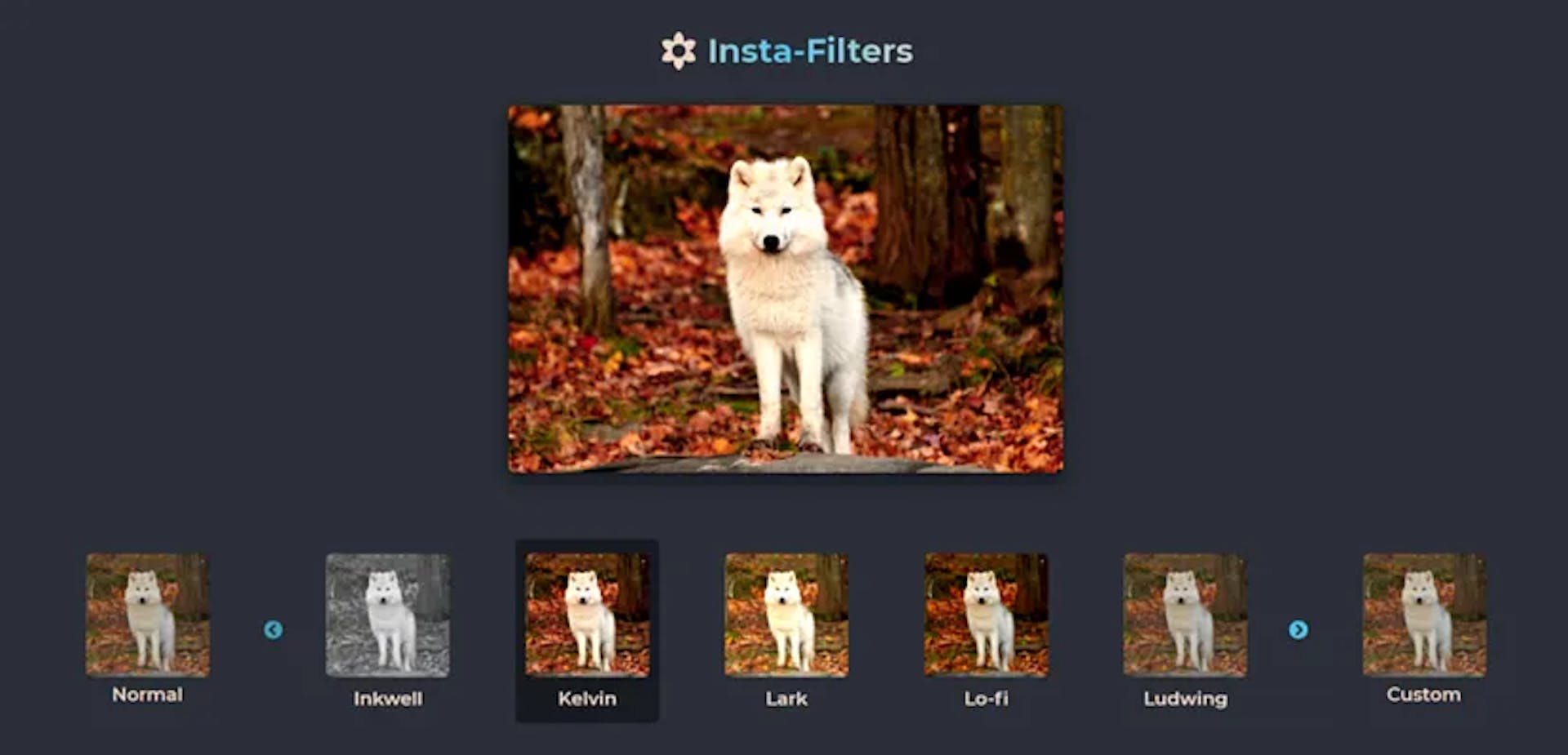 Enhance Your Photos with the CSS Contrast, Brightness, Saturation, and ...