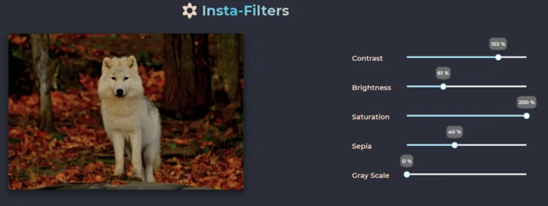 Enhance Your Photos with the CSS Contrast, Brightness, Saturation, and ...