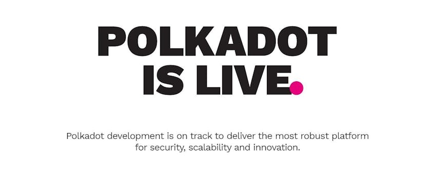 /why-im-bullish-on-polkadot-and-the-dollardot-ecosystem-ce2j3331 feature image