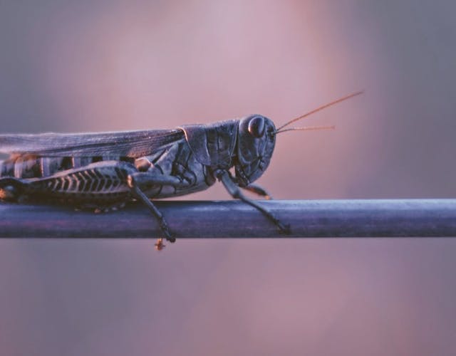 /how-ai-will-soon-integrate-with-synthetic-biology feature image