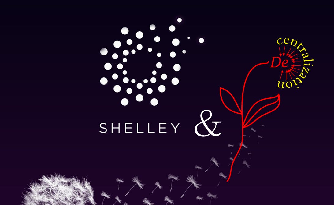 featured image - What to Expect of Shelley - Cardano's Latest Update