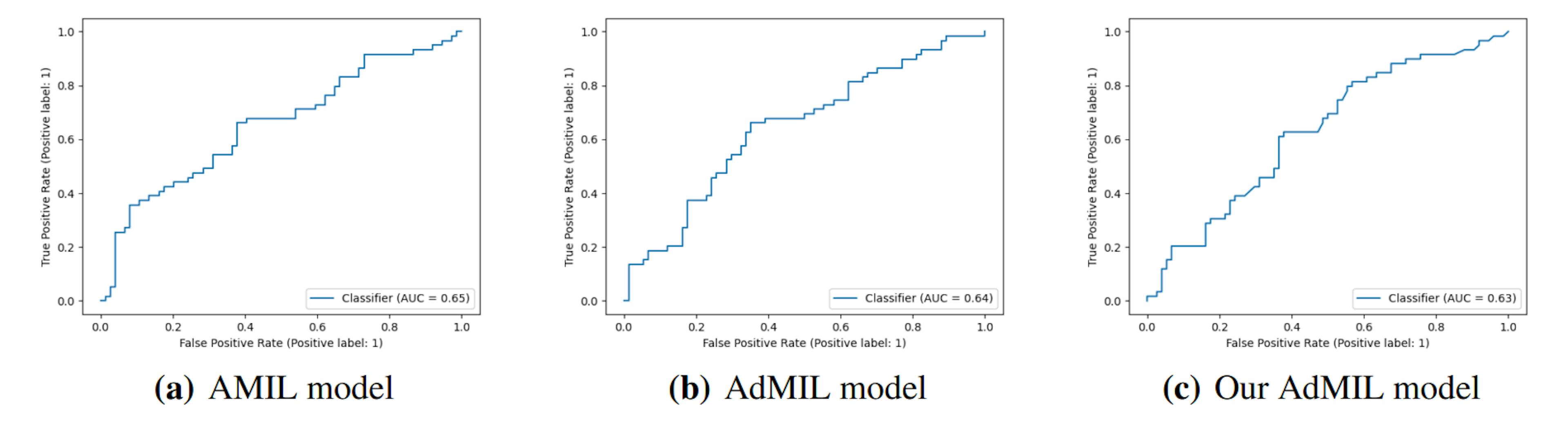 Figure 5: ROC curves for one of the runs of the TP53 mutation Detection Task (10x magnification)