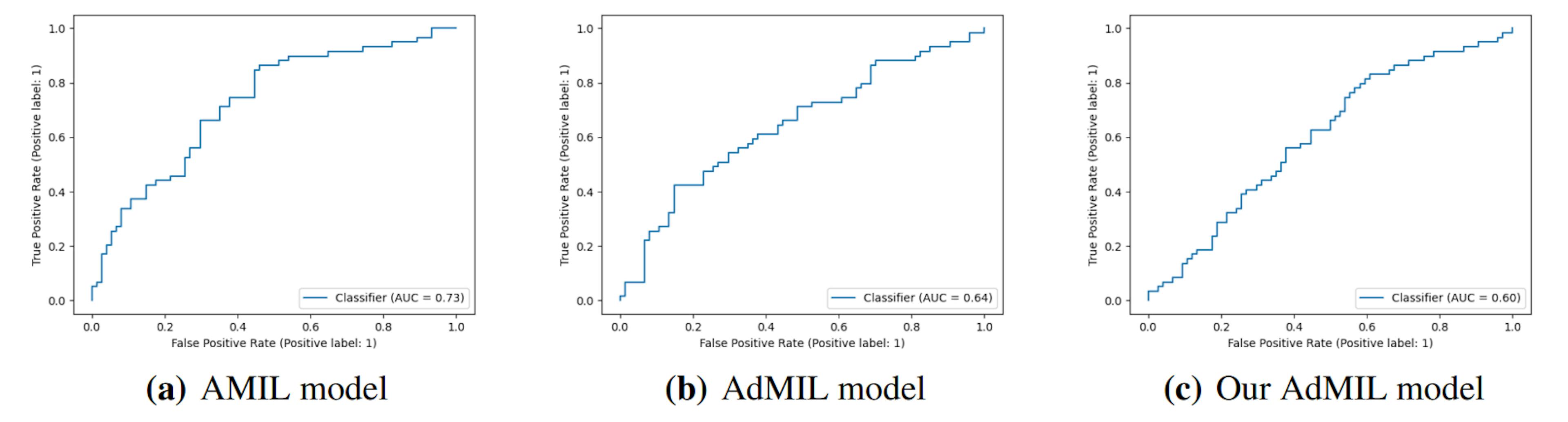 Figure 6: ROC curves for one of the runs of the TP53 mutation Detection Task (20x magnification)