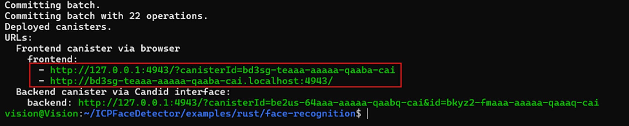 Figure 1. Successful deployment message in the terminals with the Frontend URLs