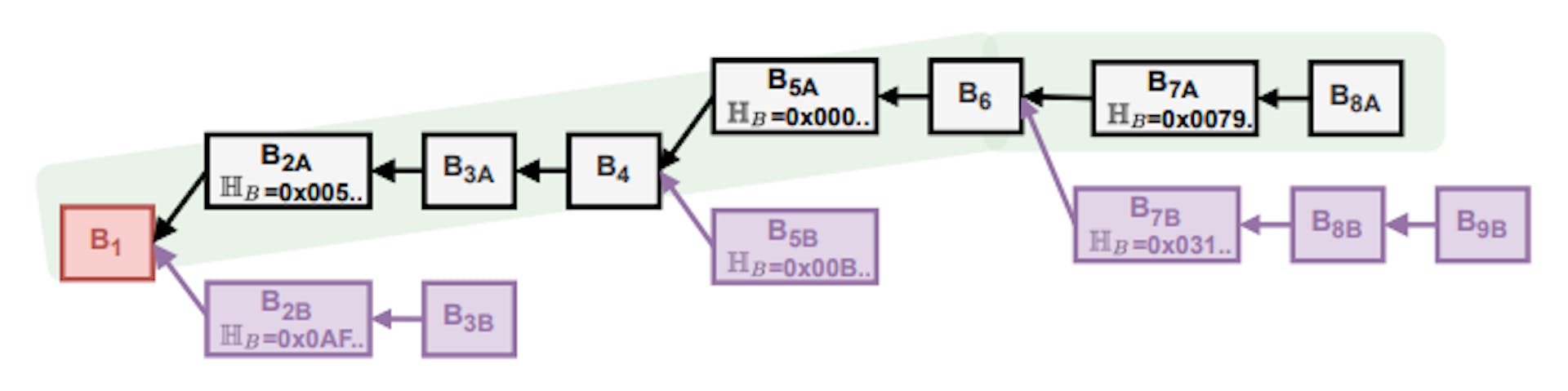 Fig. 3: The strongest-chain fork-choice rule with the main chain depicted in green and orphaned blocks in purple.