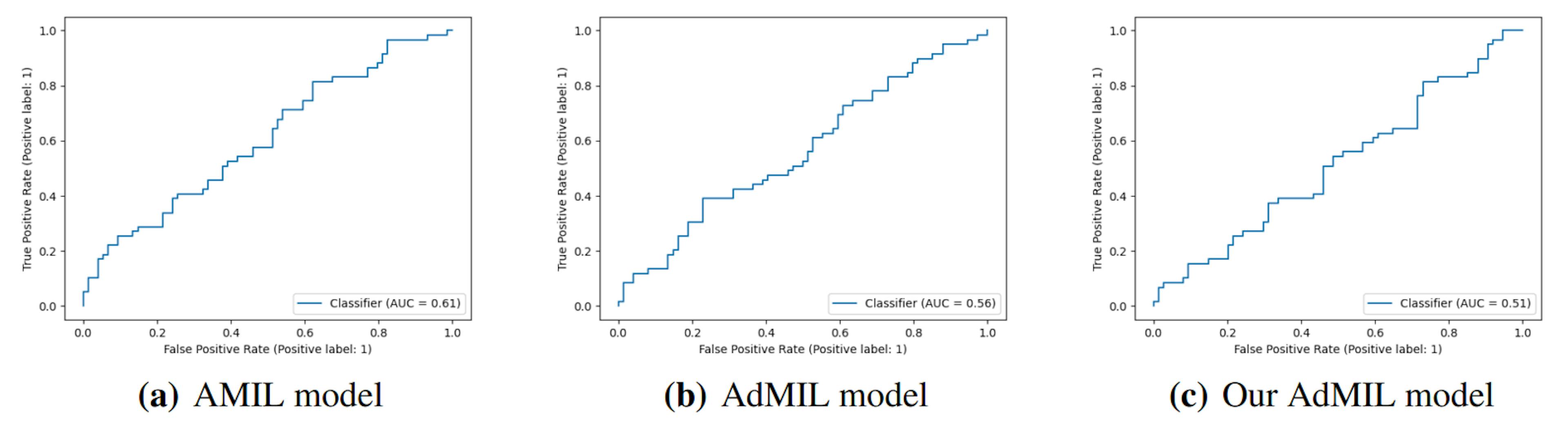Figure 4: ROC curves for one of the runs of the TP53 mutation Detection Task (5x magnification)
