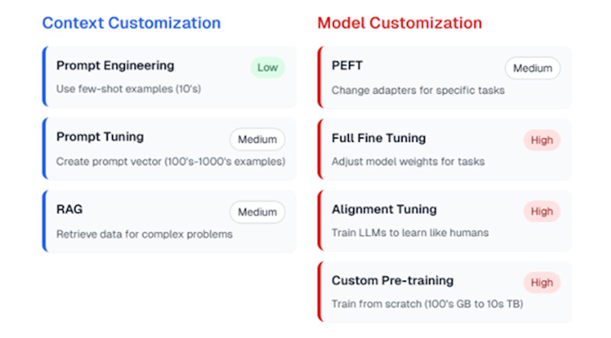 Cost Analysis on Input and Model Customization