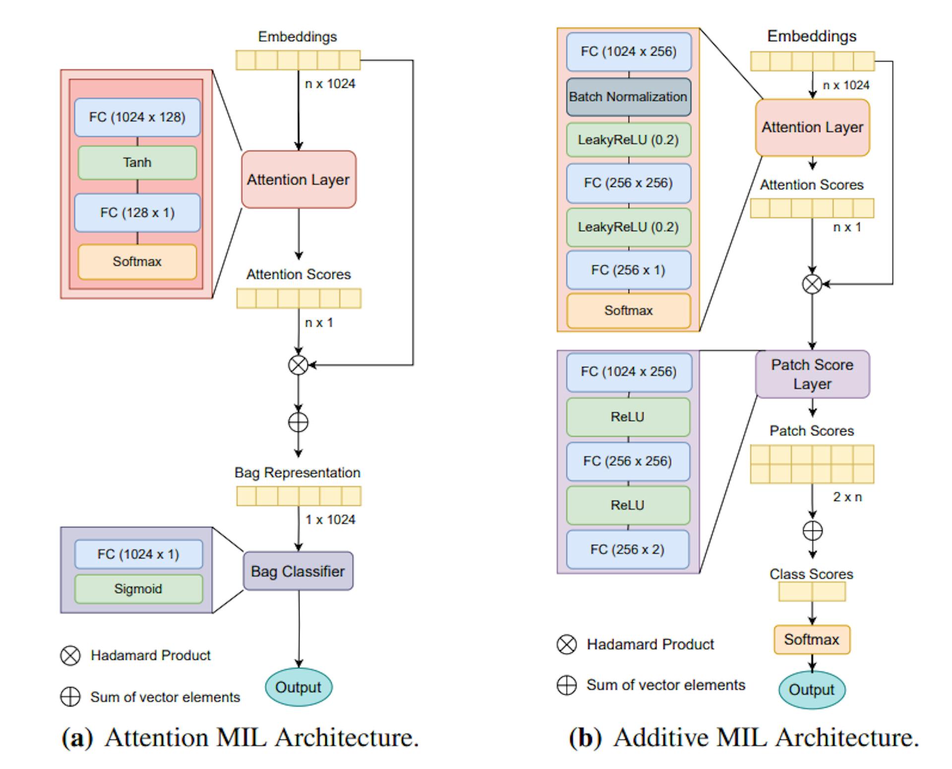 Figure 1: Models’ Architectures. The attention layers are composed of fully-connected (FC) layers, followed by activation functions. The AMIL (a) uses a tanh as its activation function, while the AdMIL (b) uses LeakyReLU. At the end of the attention layers, the results for each embedding are passed to a softmax to produce the final attention scores.