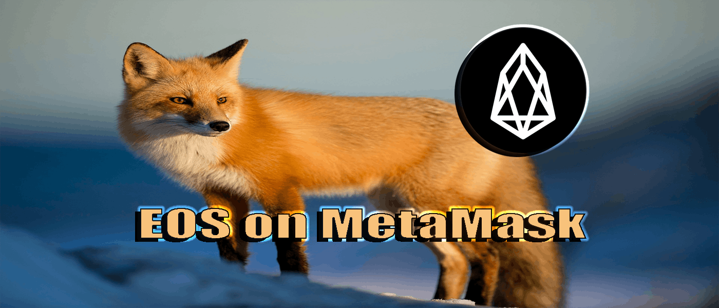 /how-to-connect-metamask-with-the-eos-blockchain feature image