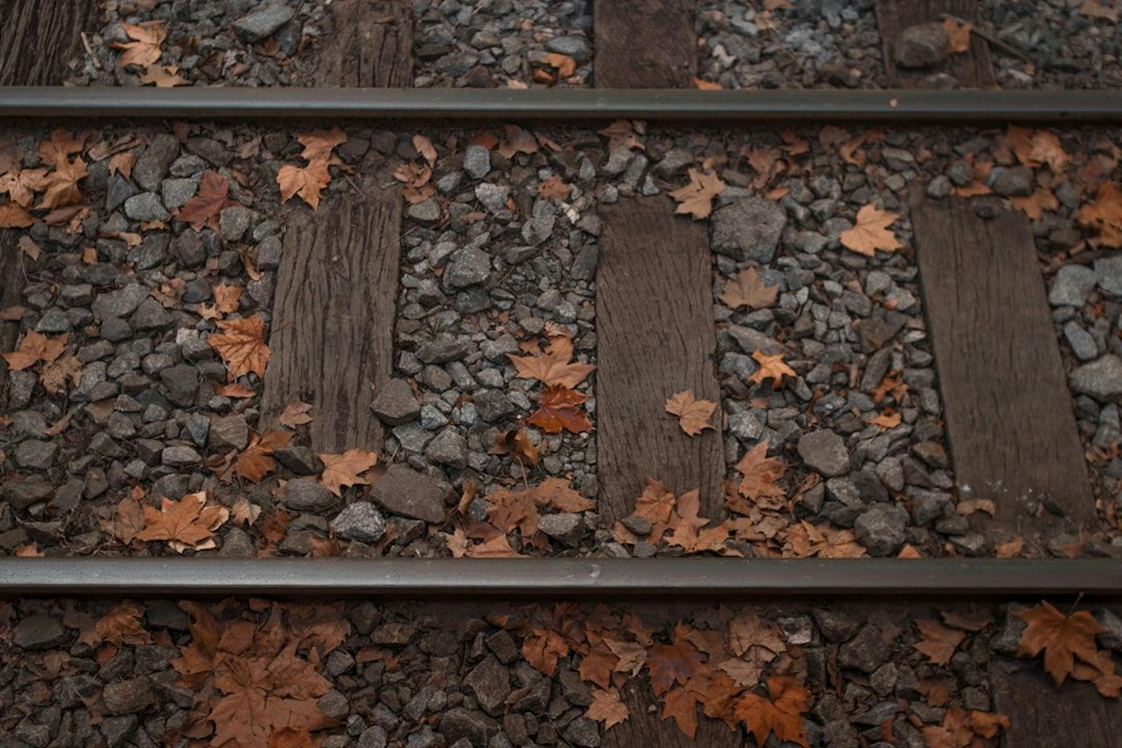featured image - Railroad Infrastructure: How Evertrak is Leading the Way with Sustainable Materials