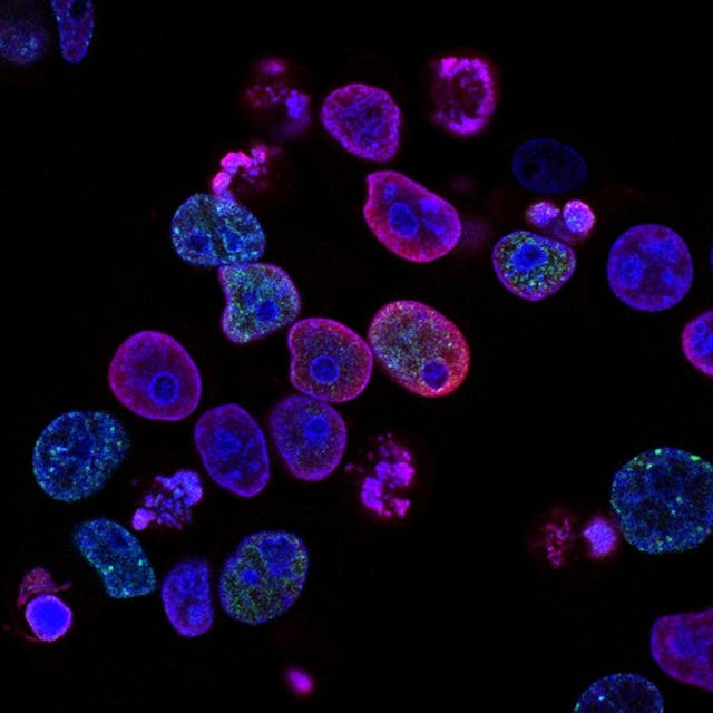 /scientific-boom-5-innovative-biotech-startups-that-will-change-our-everyday-life feature image