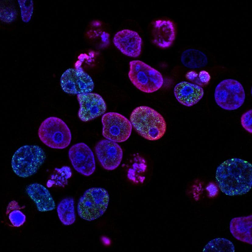 /scientific-boom-5-innovative-biotech-startups-that-will-change-our-everyday-life feature image