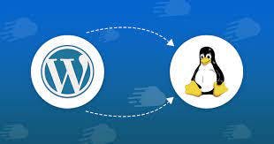 /how-to-install-wordpress-on-linux-server-a-step-by-step-guide feature image