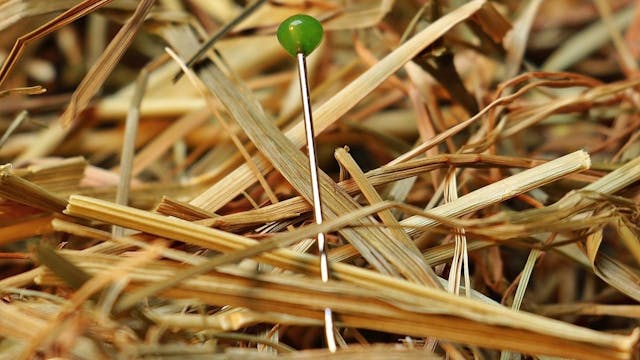 /the-science-behind-full-text-search-engines feature image