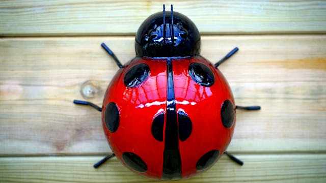 /the-importance-of-bug-bounty-programs-zw15344v feature image