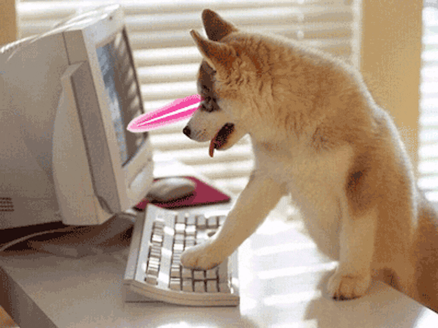 /how-to-nail-your-next-remote-job-interview-xx1ci3yfx feature image