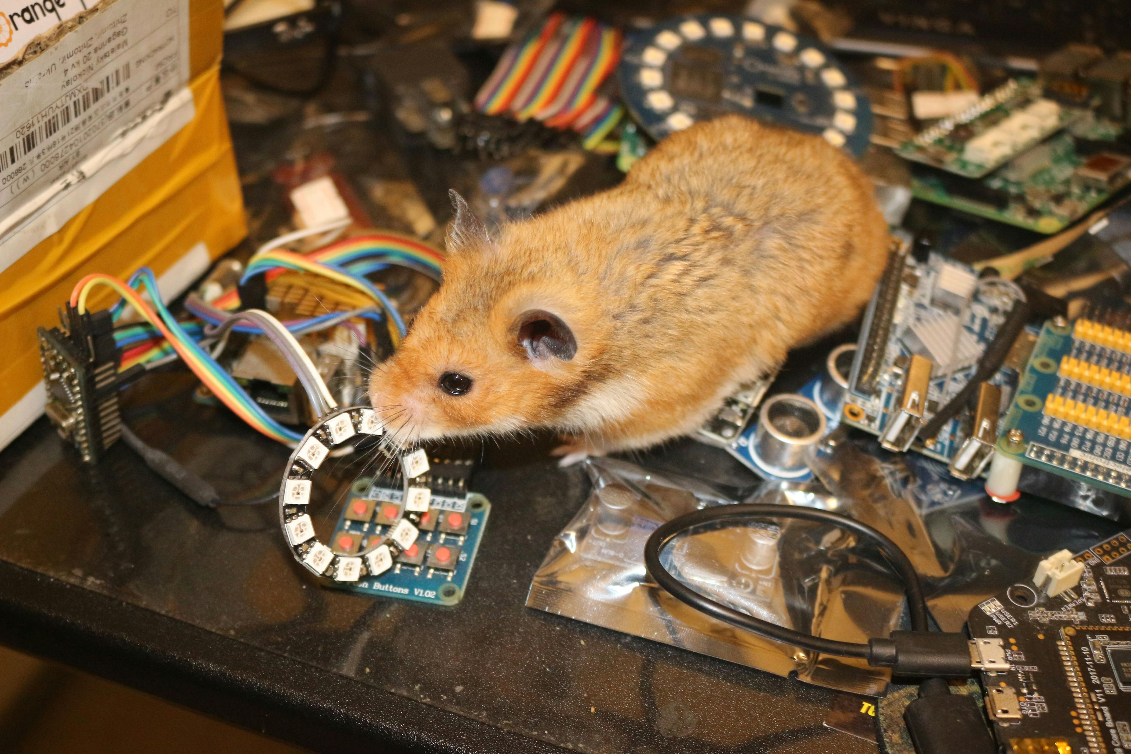 featured image - Prompts Are Overrated: I Built a Zero-Copy Fog AI Node Without Python (And It Hurt)