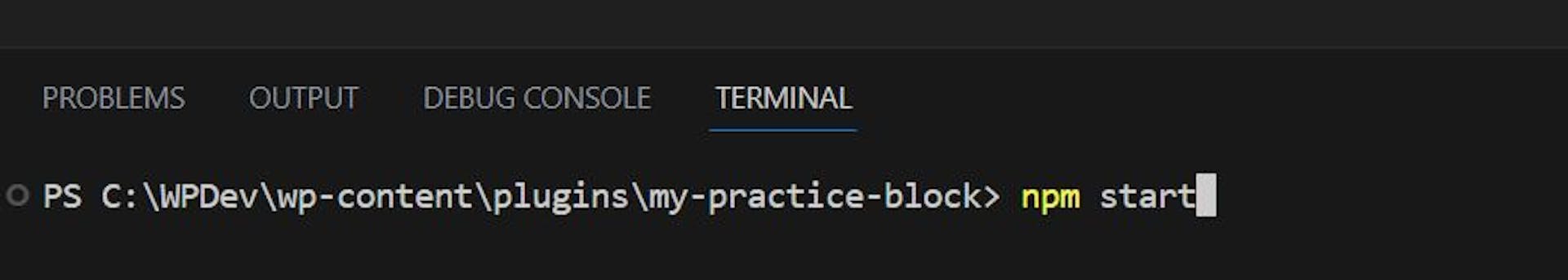 running npm start at the Visual Studio Code terminal