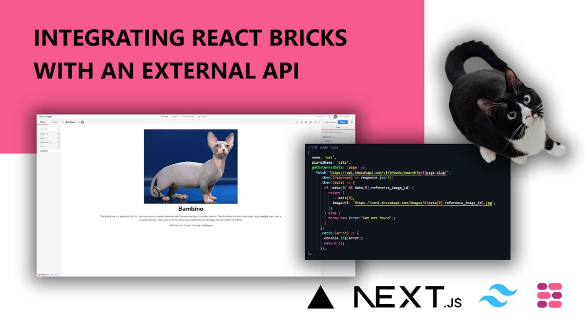 featured image - Integrating React Bricks With an External API