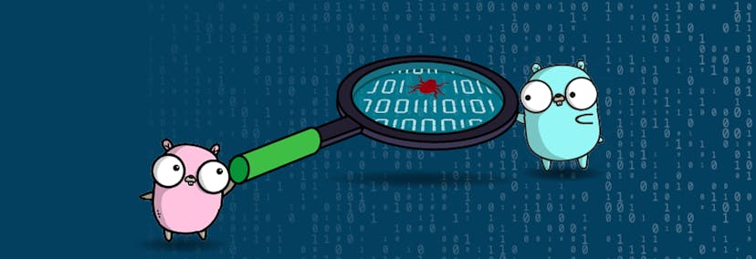 /free-extension-to-scan-go-vulnerabilities-in-visual-studio-code-rpax30u9 feature image