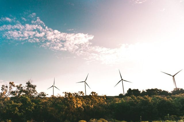 /7-ways-to-promote-sustainability-in-the-workplace feature image