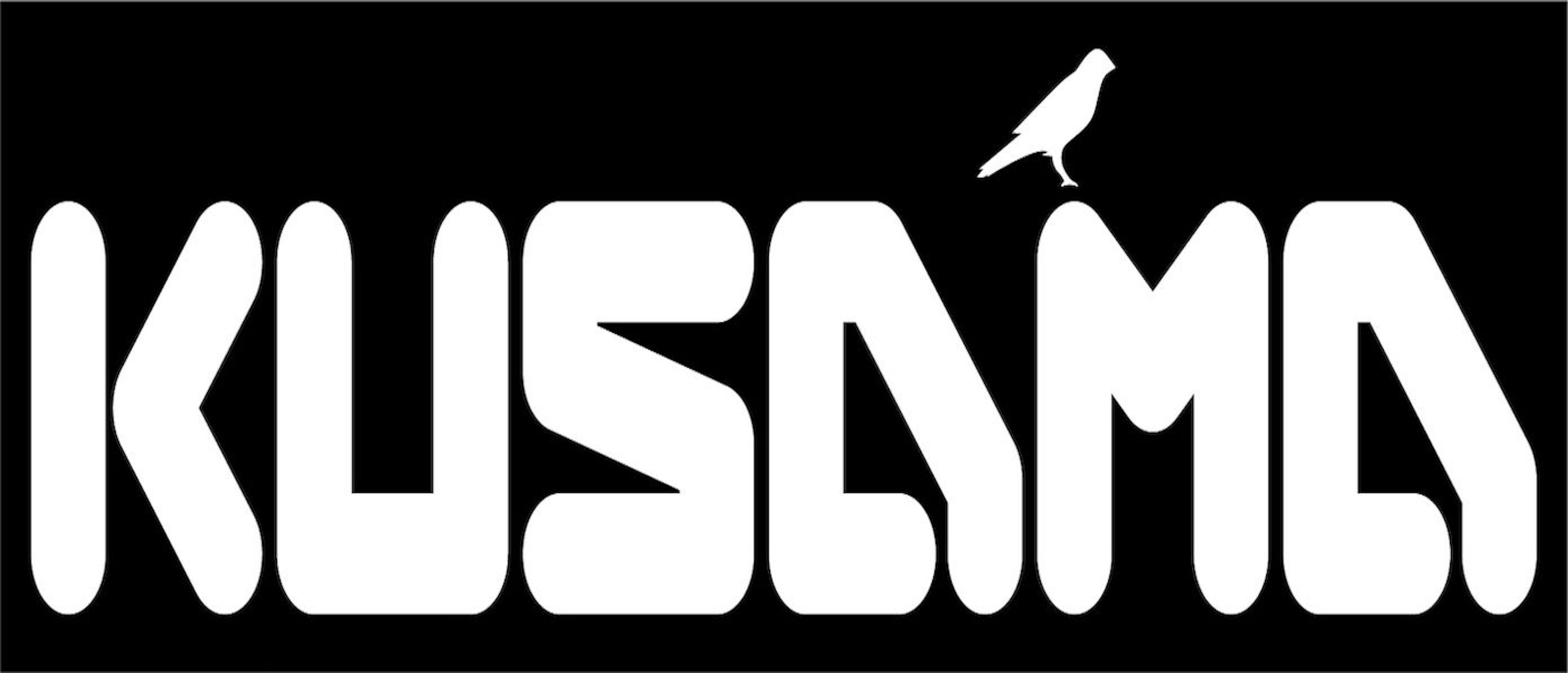 /what-is-kusama-and-why-is-it-the-canary-network-to-polkadot feature image