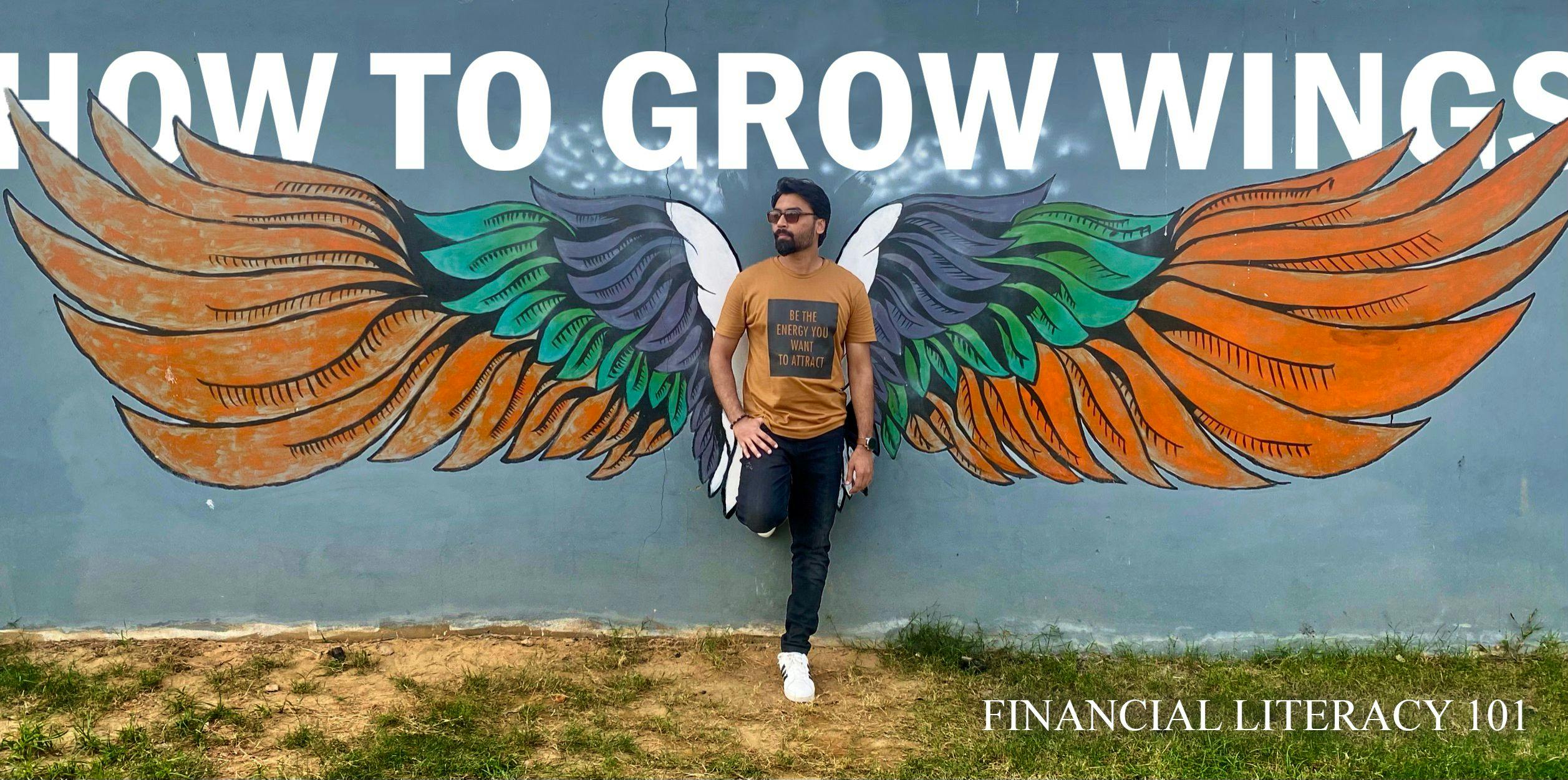 featured image - Financial Literacy 101: How to grow wings series