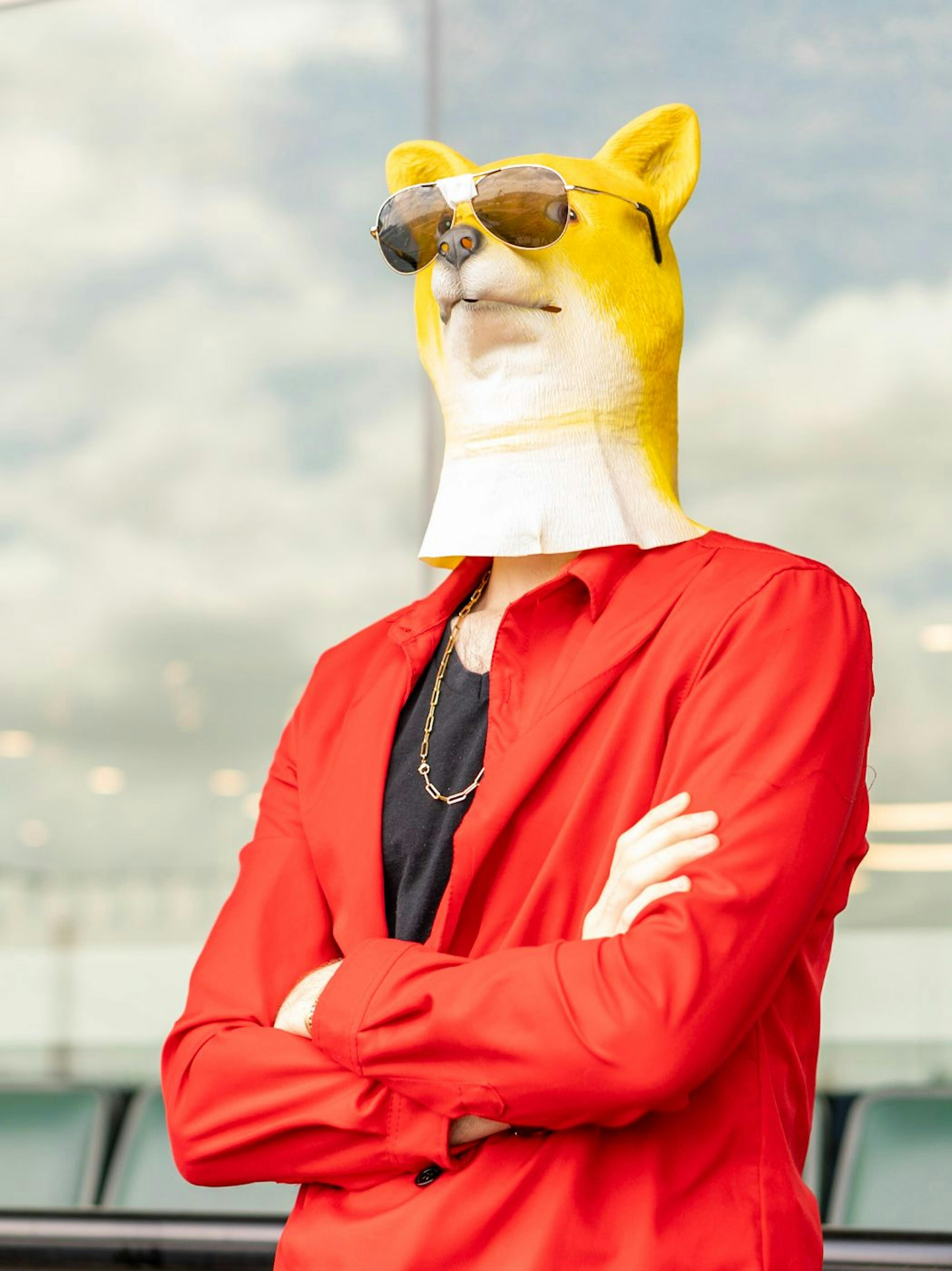 featured image - Who Showed Up to Dogepalooza and Who Cares? (Much Surprise)