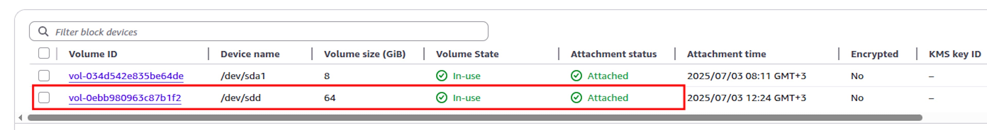64GiB volume attached