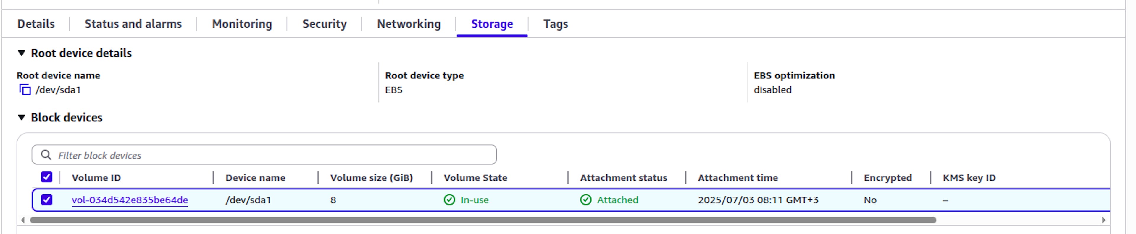 EC2 Instance Is Using Only the /dev/sda1 device