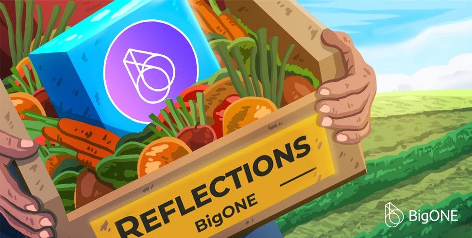 /reflection-mechanism-and-crypto-a-deep-dive feature image