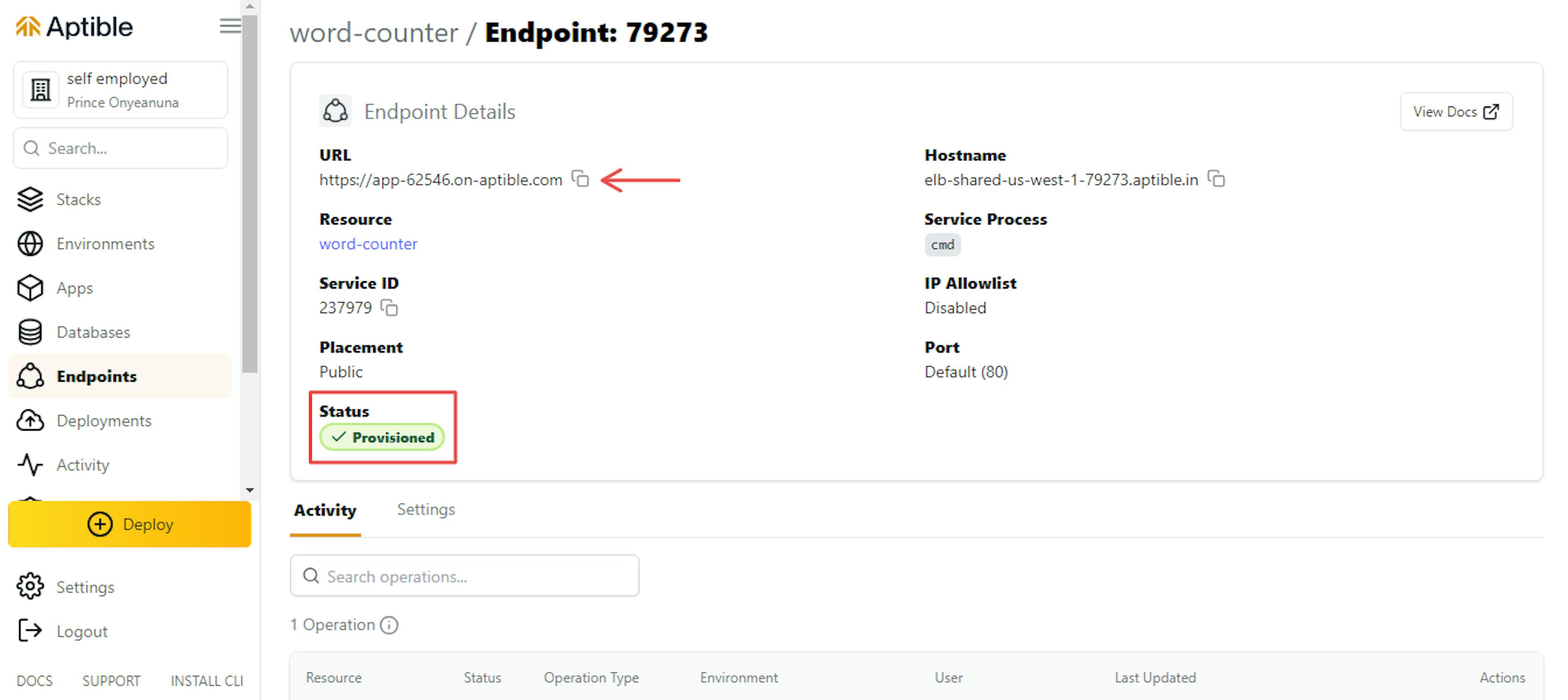 Figure 10: Endpoint output