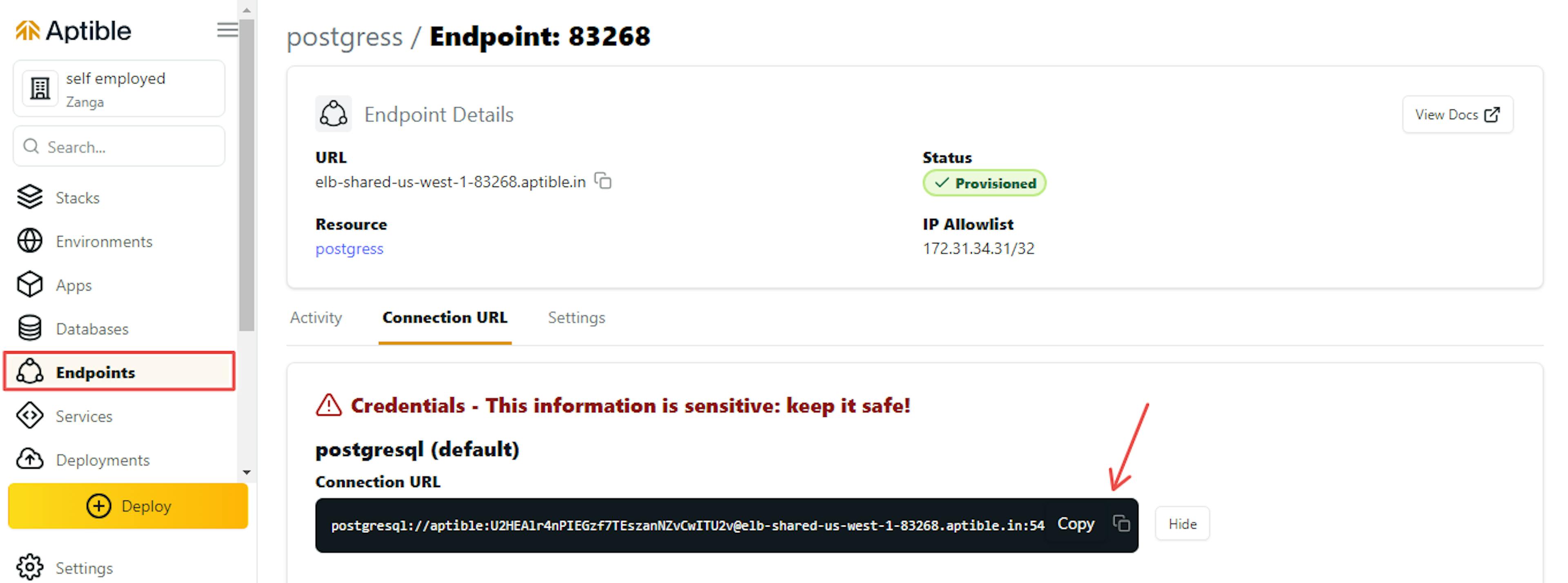 Figure 9: Copy PostgreSQL endpoint connection URL