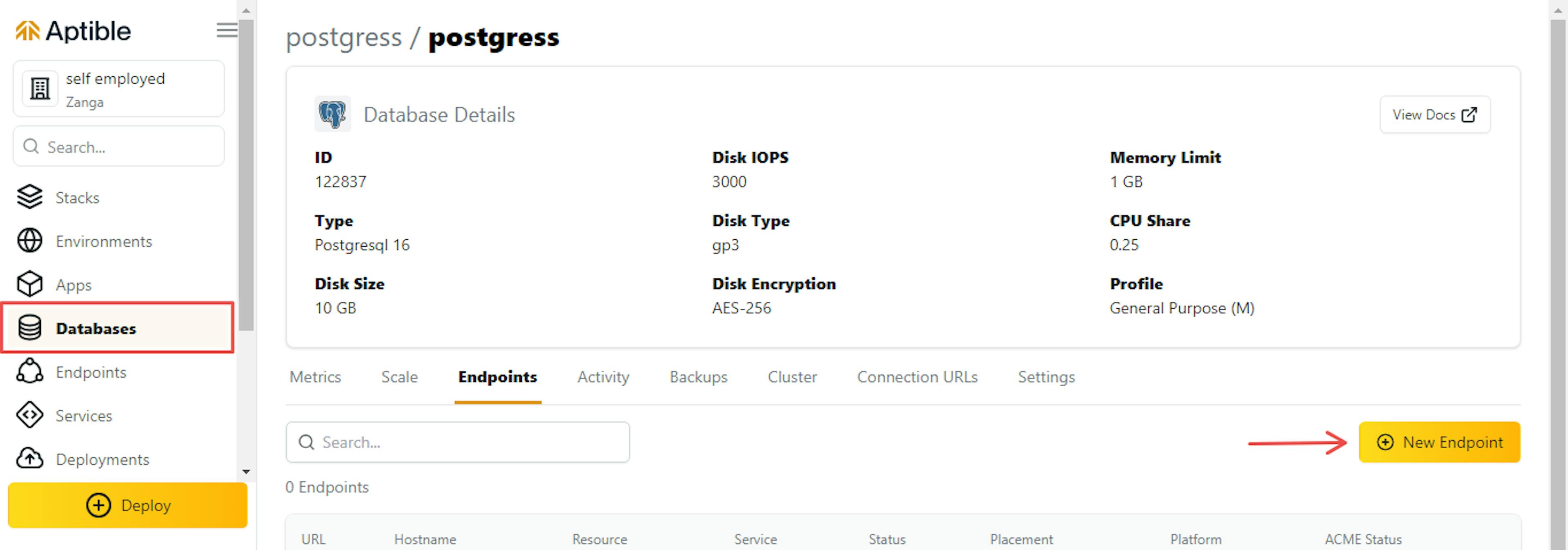 Figure 6: Creating a new endpoint