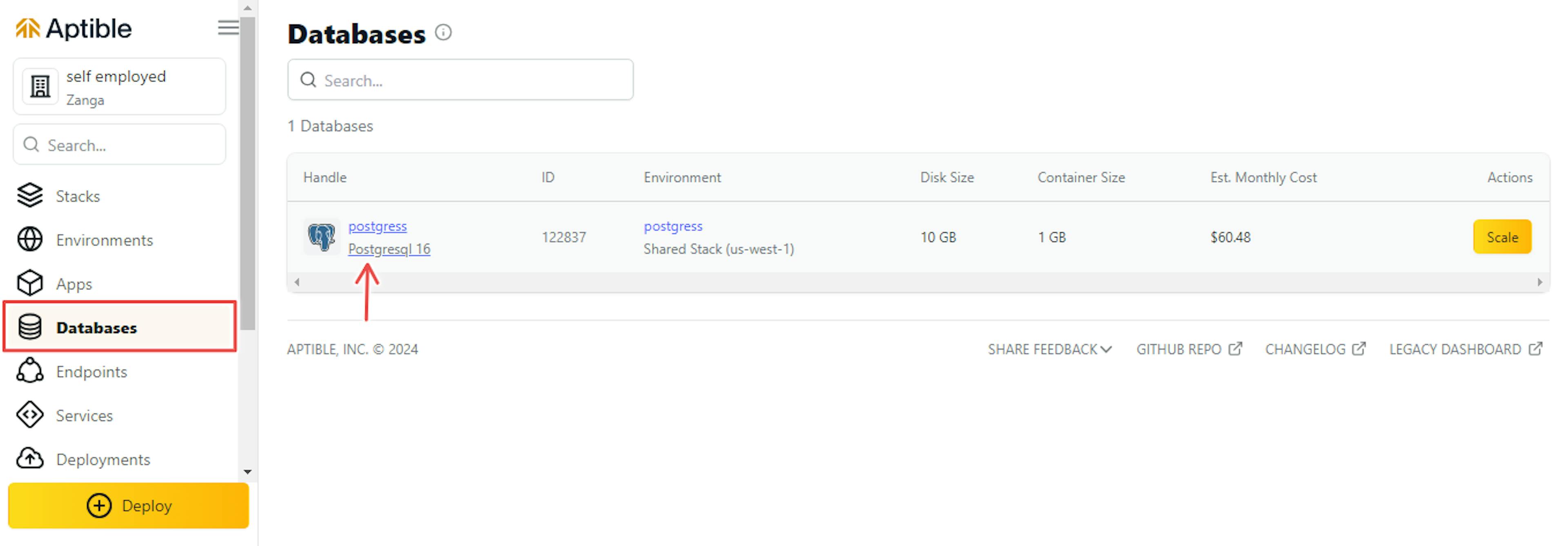 Figure 5: View the new PostgreSQL