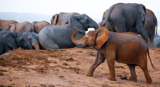 /how-postgresql-aggregation-inspired-timescale-hyperfunctions-design feature image