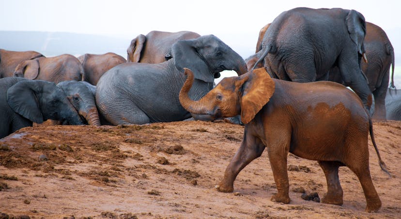 /how-postgresql-aggregation-inspired-timescale-hyperfunctions-design feature image