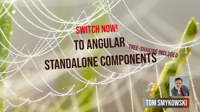 /building-enterprise-angular-apps-youre-doing-it-wrong-unless-you-use-standalone-components feature image