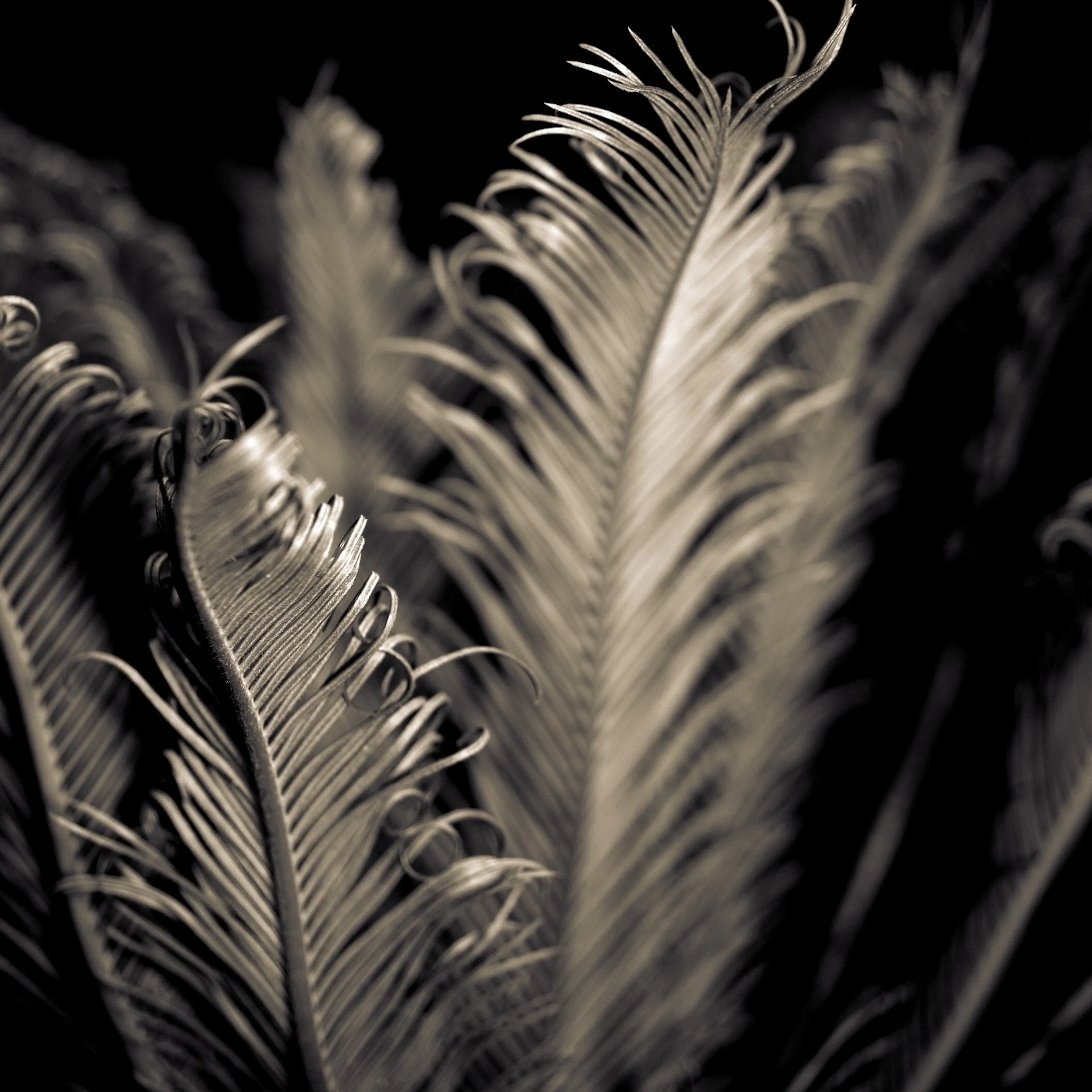 Learn Repo's image-c078e