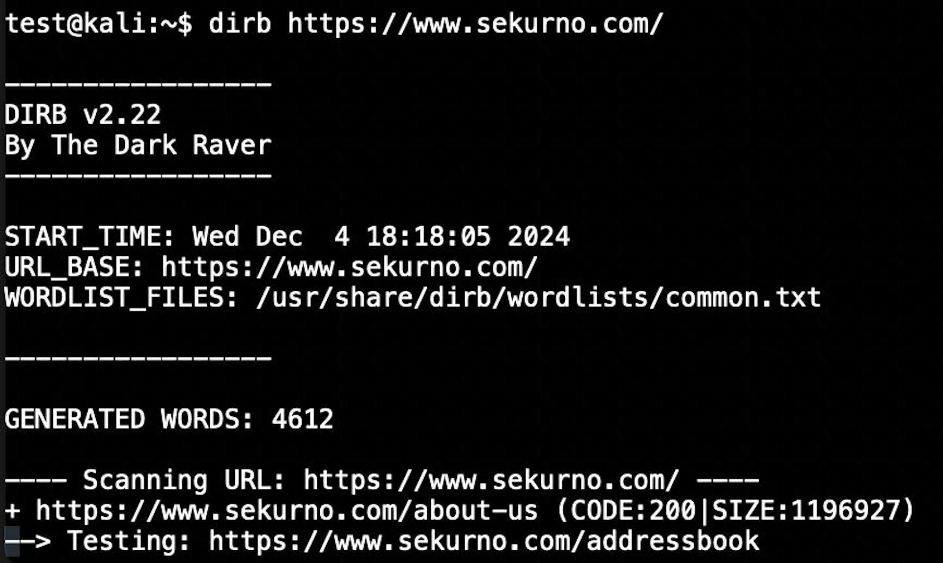 Example: Searching for common directories on www.sekurno.com